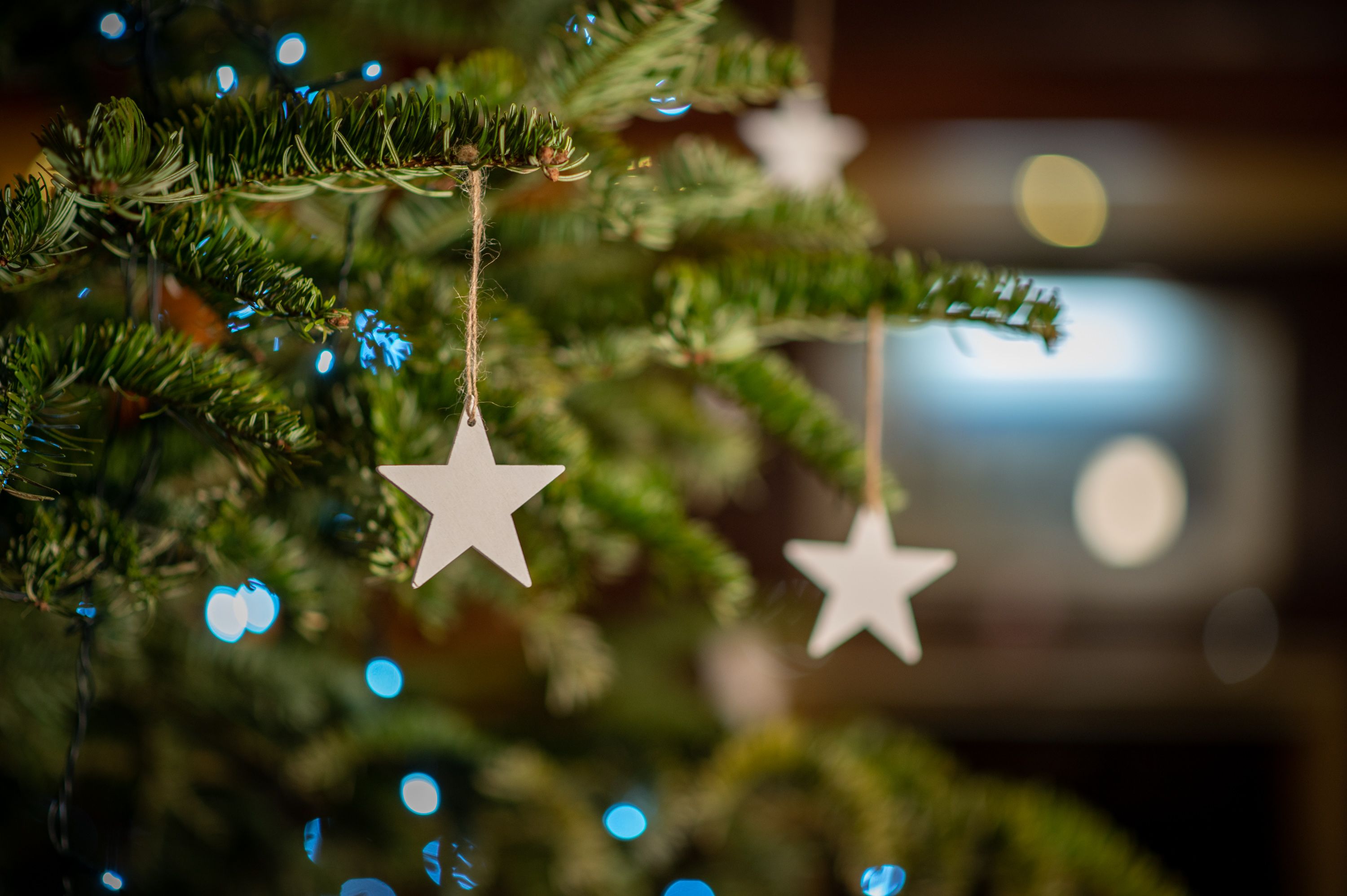 Christmas tree with decorations